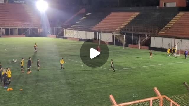 Treino